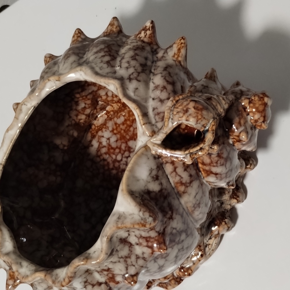 Artistic Shell-Shaped Ceramic Sculpture - Picture 4 of 4